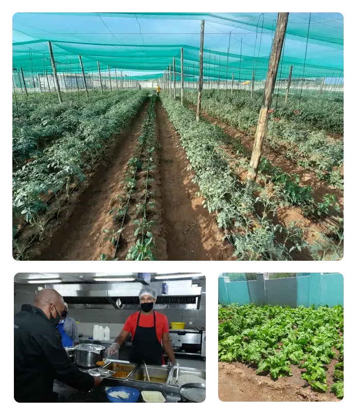 Zero  Hunger